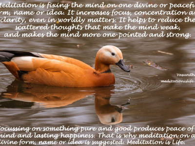Meditation is good for you