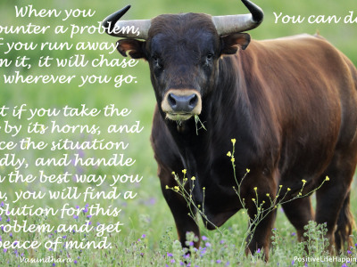 Take the Bull by its Horns