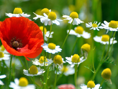 Your nature is happiness