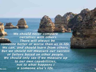 No comparison with others