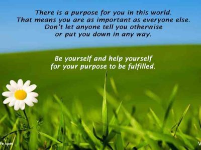 Purpose