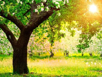 Five simple ways to get peace of mind