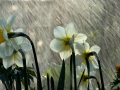 Awesome_Rainy_Wallpapers_www.laba.ws