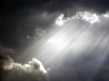 after_the_rain.jpg
