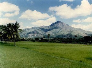 Unique Vistas