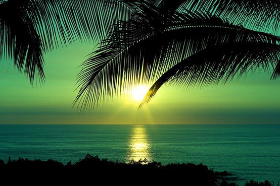Scenic Beauty