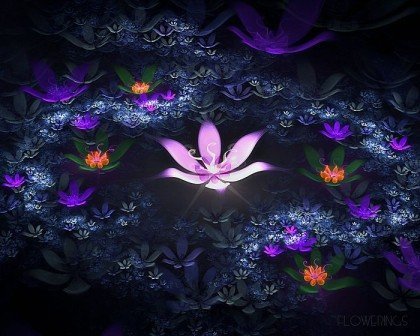 Samadhi-420x336