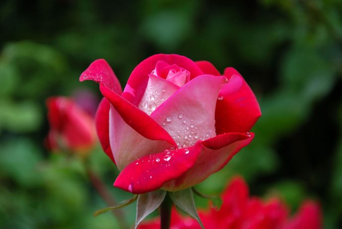Have regard for me