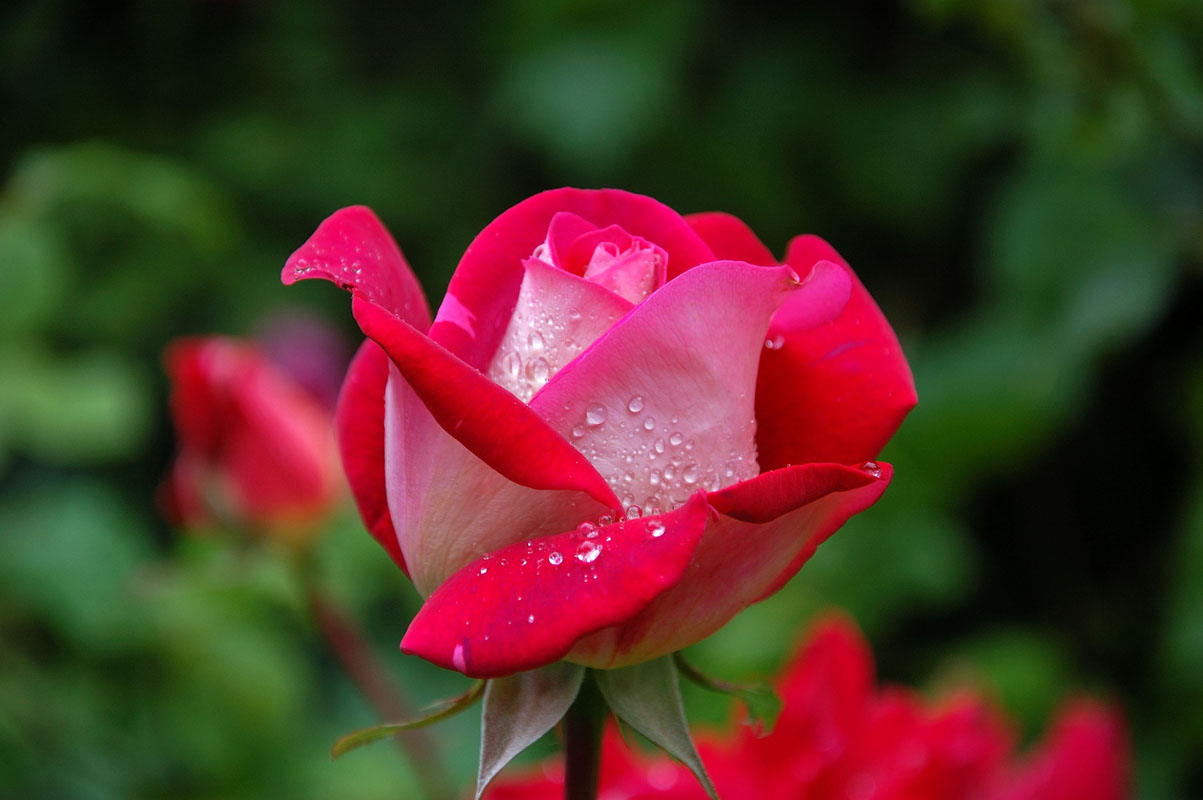 Have regard for me