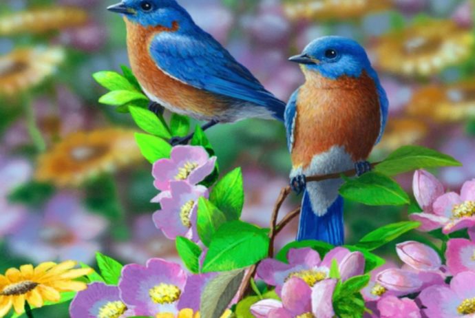 Are Knower and Witness same