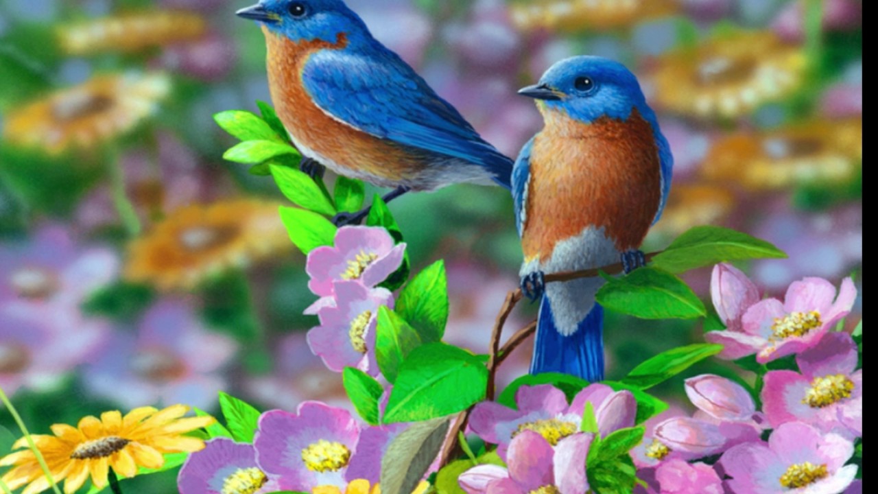 Are Knower and Witness same