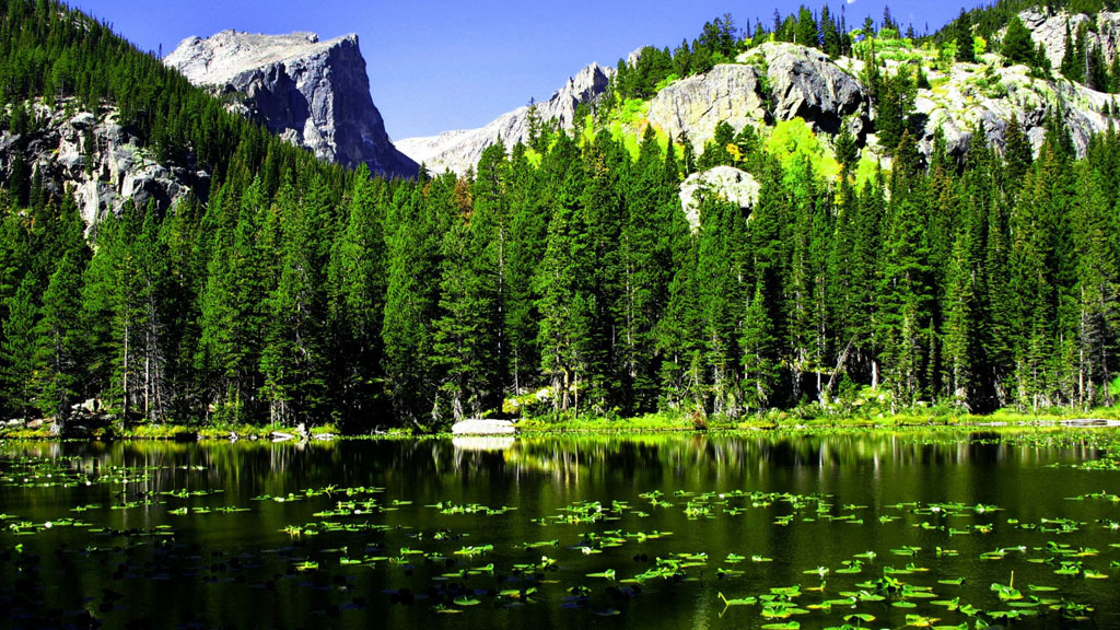 A quiet mind is all you need - Nisargadatta