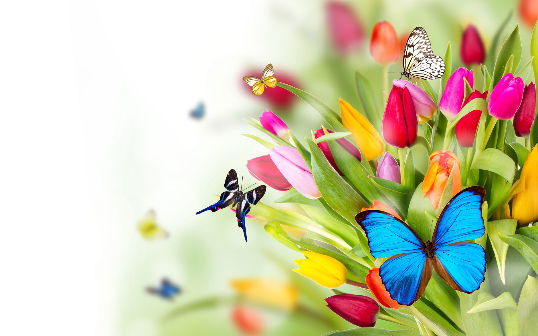 Desires and Fulfillment
