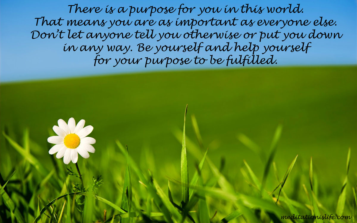 Purpose