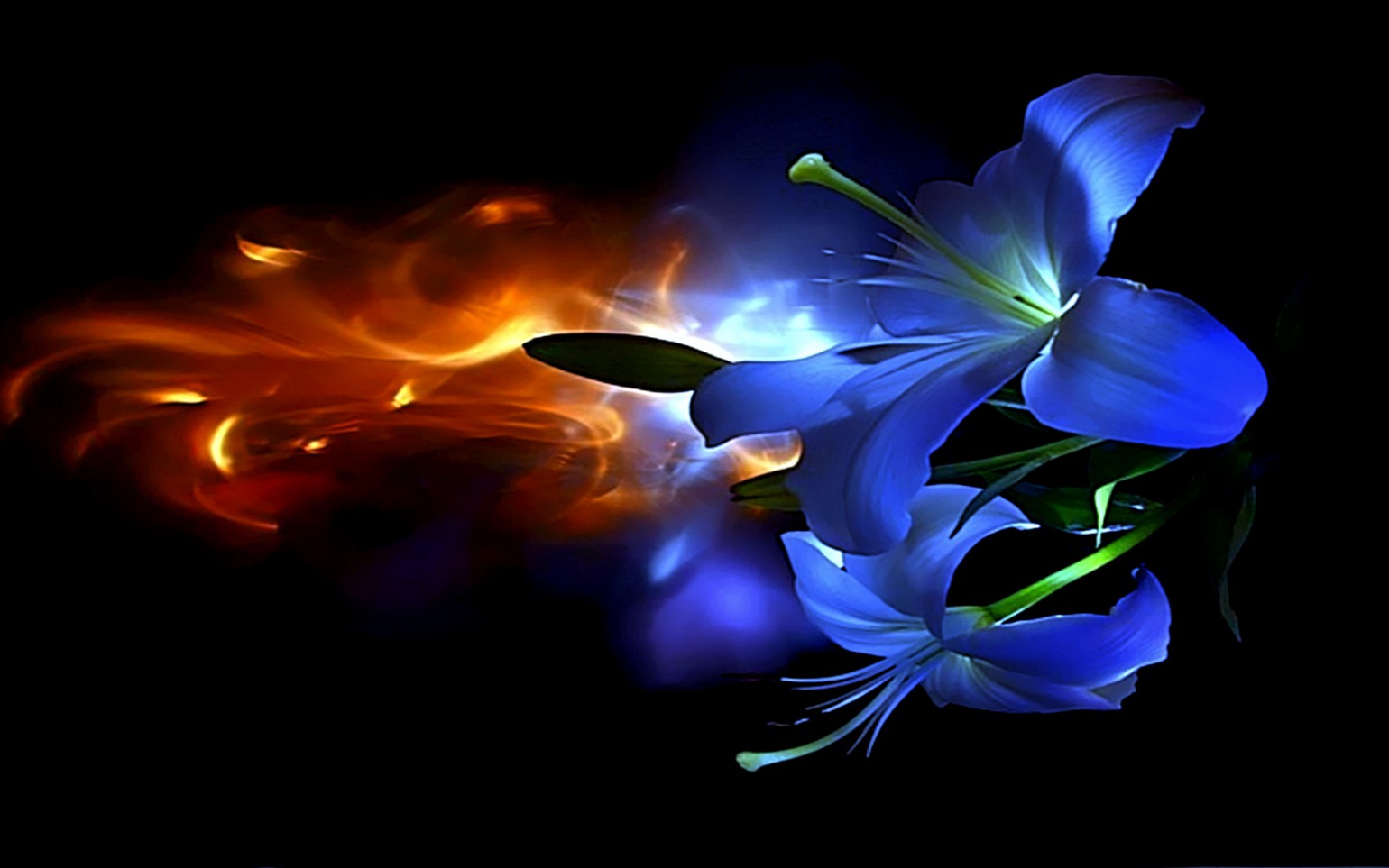 What is Karma ? - Vivekananda
